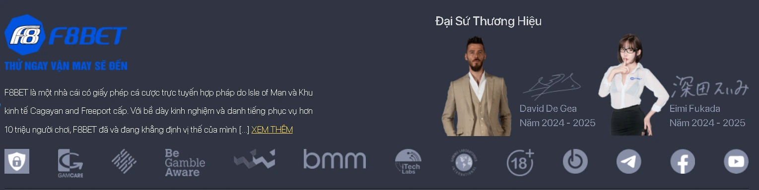 Giới thiệu tổng quát F8net